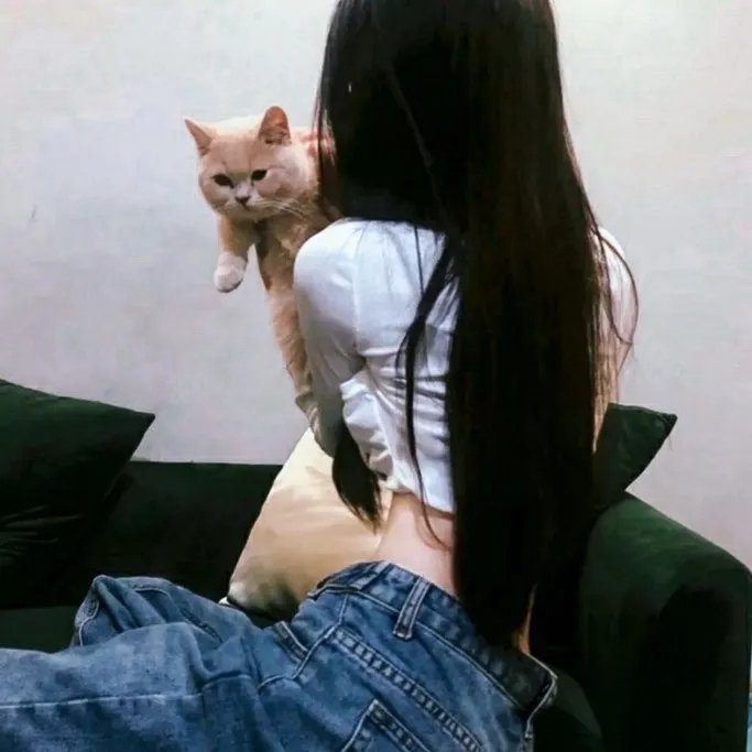 谋杀案